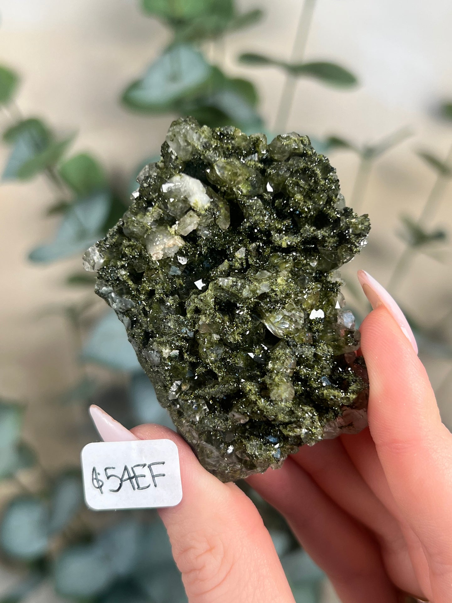 Forest Quartz / Epidote in Quartz (10 options)